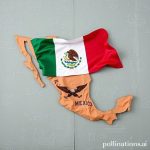 Invest in Mexico: A Foreigner’s Guide