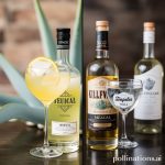 Mezcal vs Tequila: Unveiling the Agave Spirit
