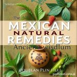Mexican Natural Remedies: Ancient Wisdom