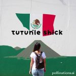 Mexico Culture Shock: Tips to Thrive!