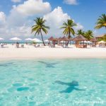 Playa del Carmen: Your Party Scene Guide