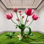 Art Blooms: Mexico City’s Contemporary Scene