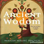 Ancient Wisdom: Mexican Healing Practices