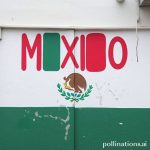Mexico Slang: Your Guide to Local Lingo