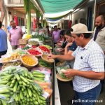 Oaxaca Markets: A Foodie’s Paradise