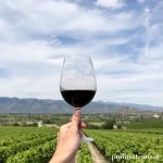 Valle de Guadalupe: Food & Wine Lover’s Paradise