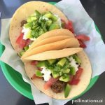 Mexico City Tacos: A Local’s Favorite Spots