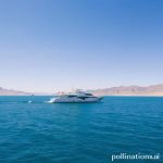 Sea of Cortez: Your Private Yacht Awaits!