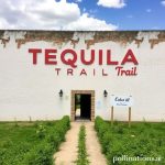 Tequila Trail: A Jalisco Adventure