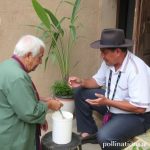 Visiting a Curandero: Traditional Healing in Mexico