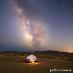 Baja Desert: Camping & Stargazing Adventure