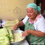Tamales Time: Cooking with Abuela in Mexico