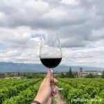 Querétaro Wineries: A Delicious Escape