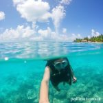 Cozumel Diving: A Beginner’s Guide to Paradise