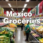 Mexico Groceries: Supermarkets or Markets?