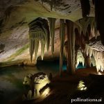 Yucatán Caves: Explore the Mystical Underground