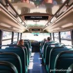 Mexico Bus Travel: Your Ultimate Guide