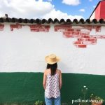 Blend In: Your Guide to Living Like a Local in Mexico