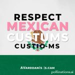 Respect Mexican Customs: A Visitor’s Guide