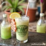 Pulque: Aztec Drink’s Surprising Comeback