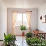 Renting an Apartment in Mexico: Your Guide