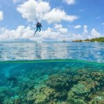 Cozumel Reefs: A Scuba Diving Paradise
