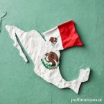 Send Money to Mexico: Top Services & Tips