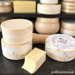 Chiapas Cheese: A Taste of Mexico