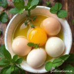 Limpias: Spiritual Cleansing with Herbs & Eggs