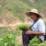 Responsible Tourism: Support Mexico’s Communities