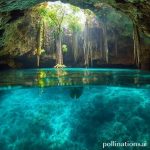 Cenotes: Underwater Photography Paradise