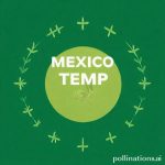 Mexico Temp Visa: Your Easy How-To Guide